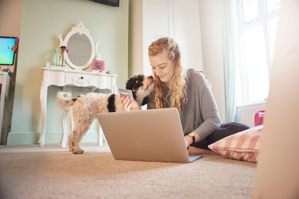 Annual pet wellness plans